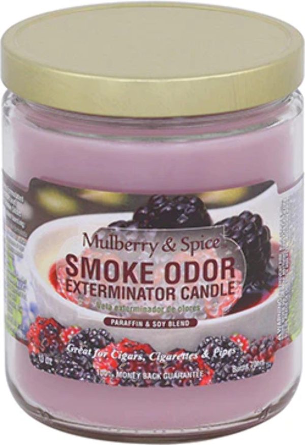 Pet Odor Exterminator Candle Honeydew Melon Jar (13 oz)